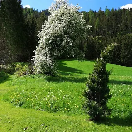 Guest house Stoffler 2*