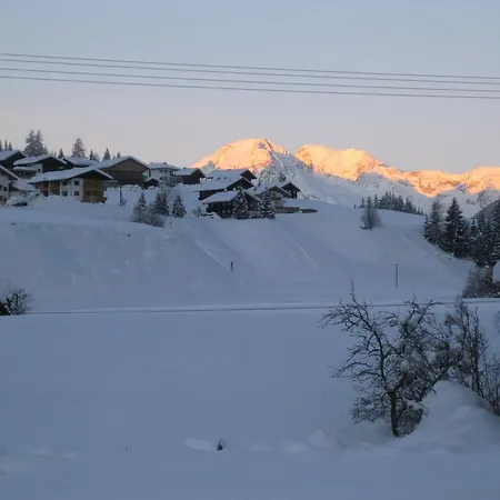 Stoffler 2*